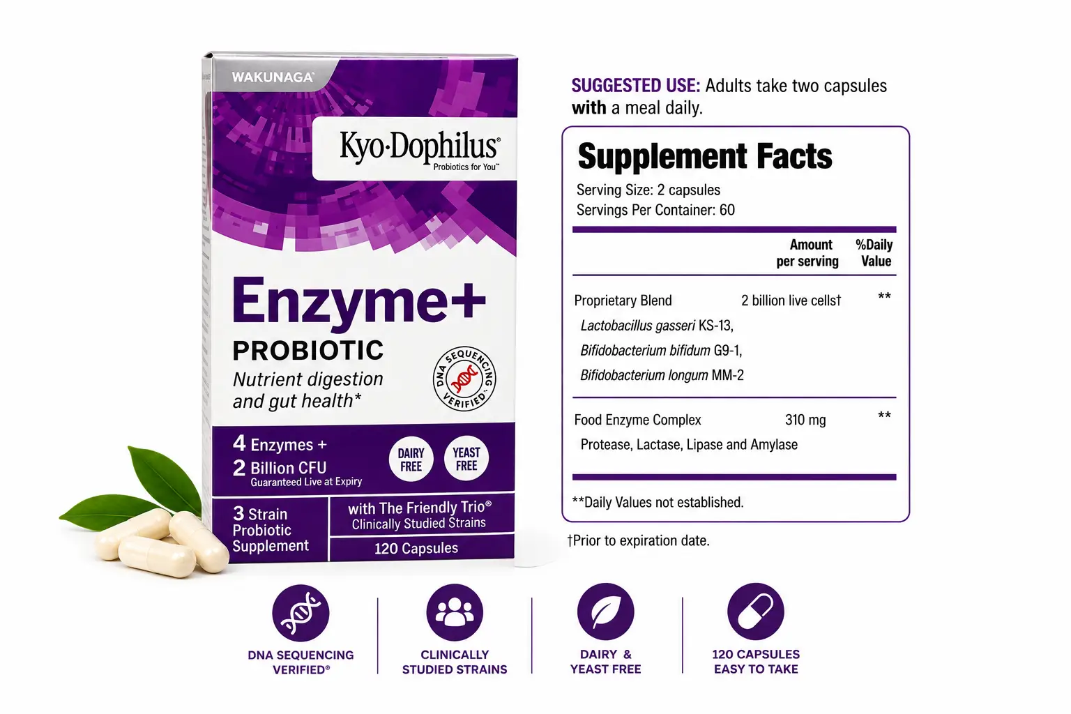 Kyo-Dophilus® Enzyme+ Probiotic - Image 2